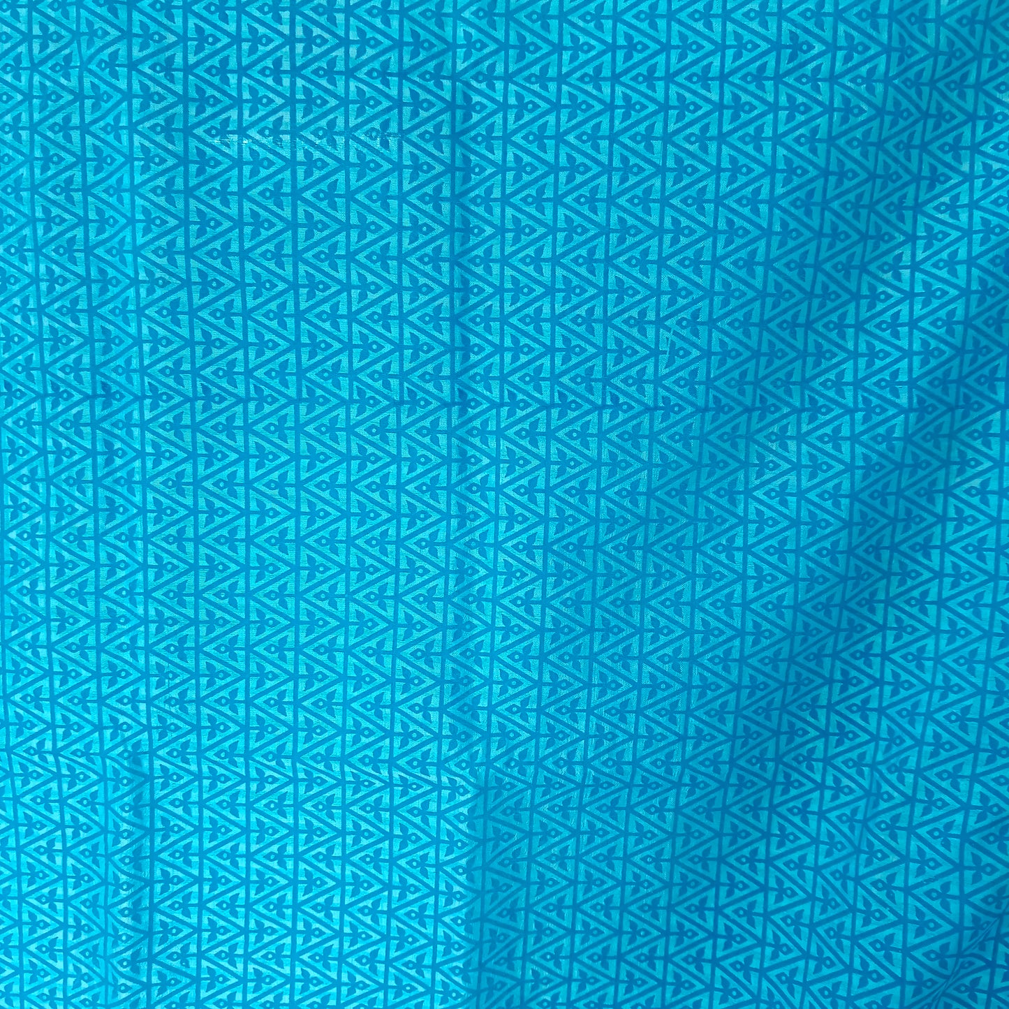 Sky Blue & Golden Border Cotton Saree/Sari