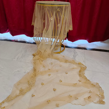 Dupatta chunni Net fabric stone work party wear wedding stole scarf